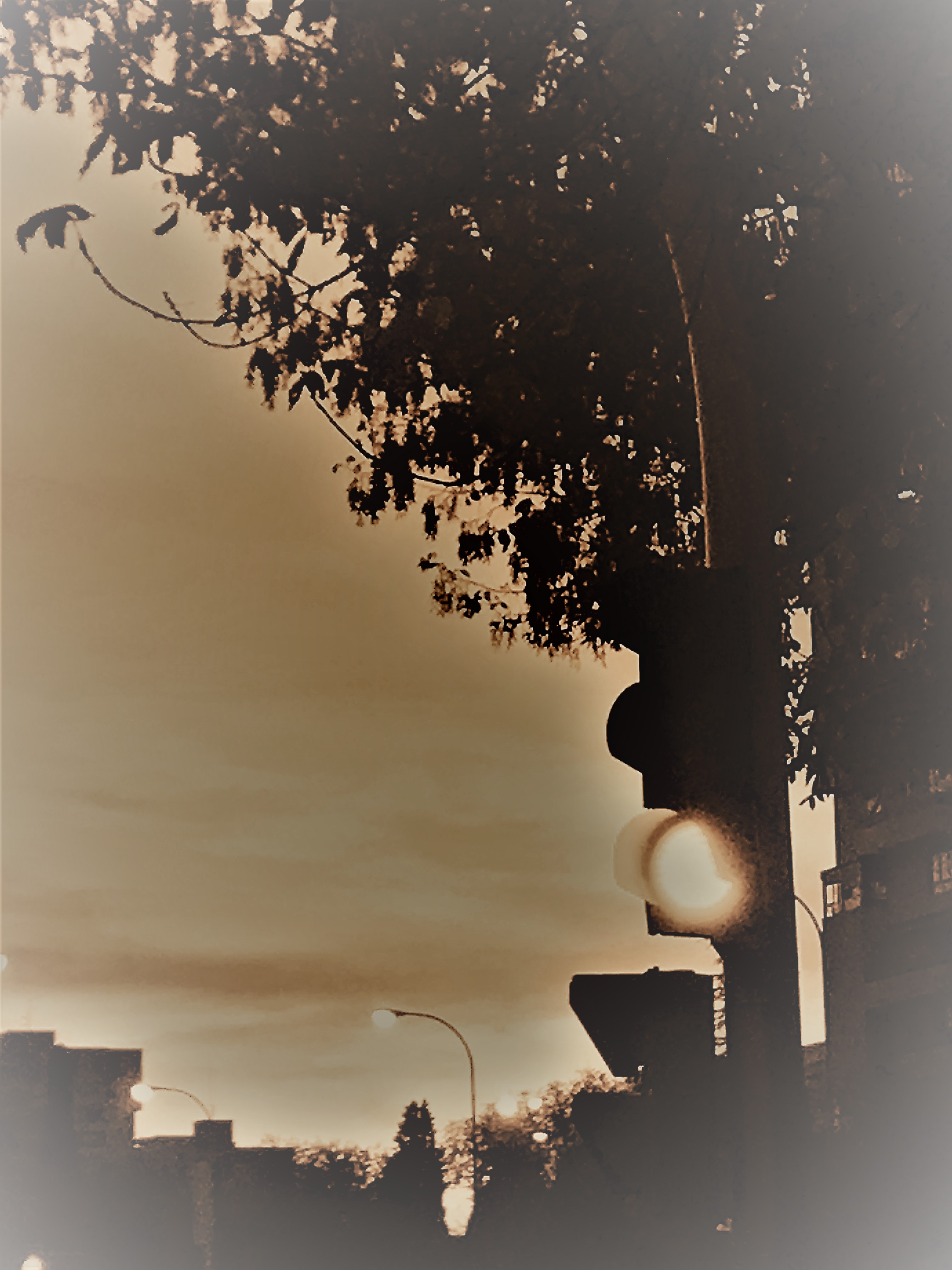 Art picture
