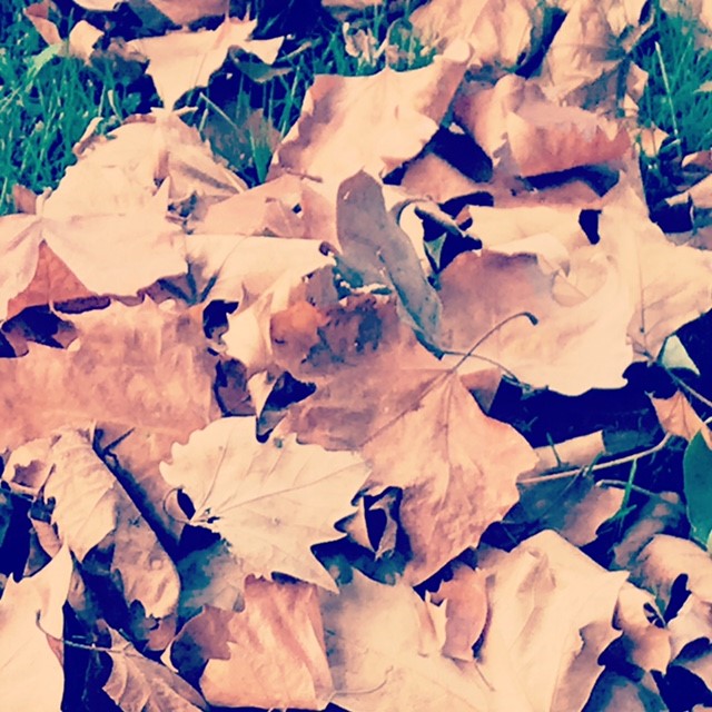 Art picture